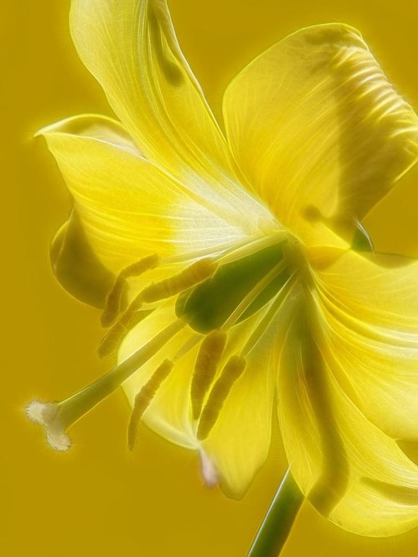 Взгляды, речи