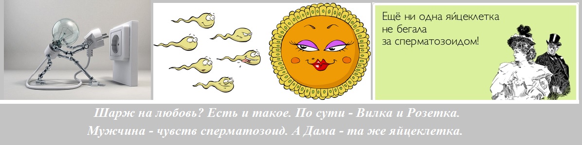 Шарж на любовь? Есть и такое!