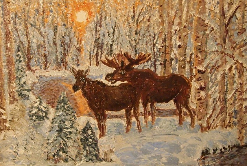 Лоси в гатчинском парке...