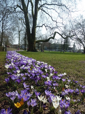 мгновения весны