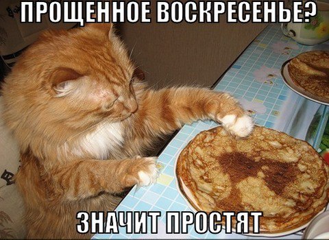 Вороватый кот...