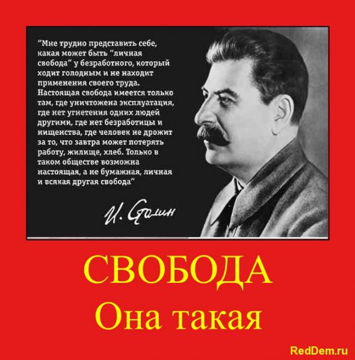 Почему даешь свободу. Иосиф Сталин. Высказывания Сталина. Фразы Сталина. Сталин о свободе человека.