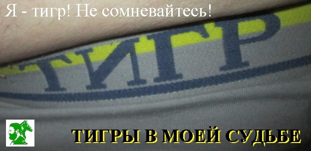 Я Тигр! Под коня закосивший! Из тигров!
