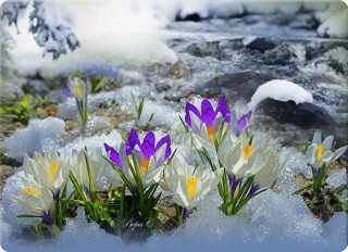 Что наша жизнь?