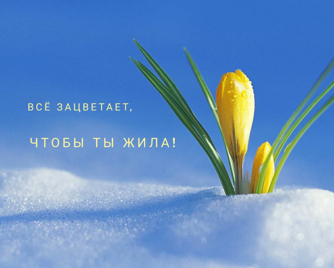 Всё зацветает, чтобы ты жила!