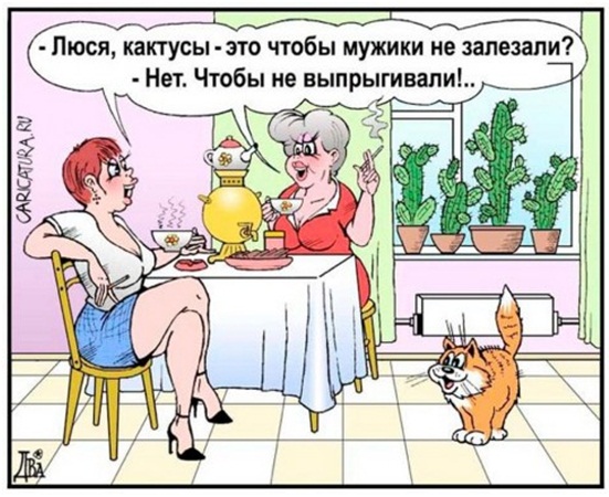 Ею попользовались многие Алик Брест рецензия