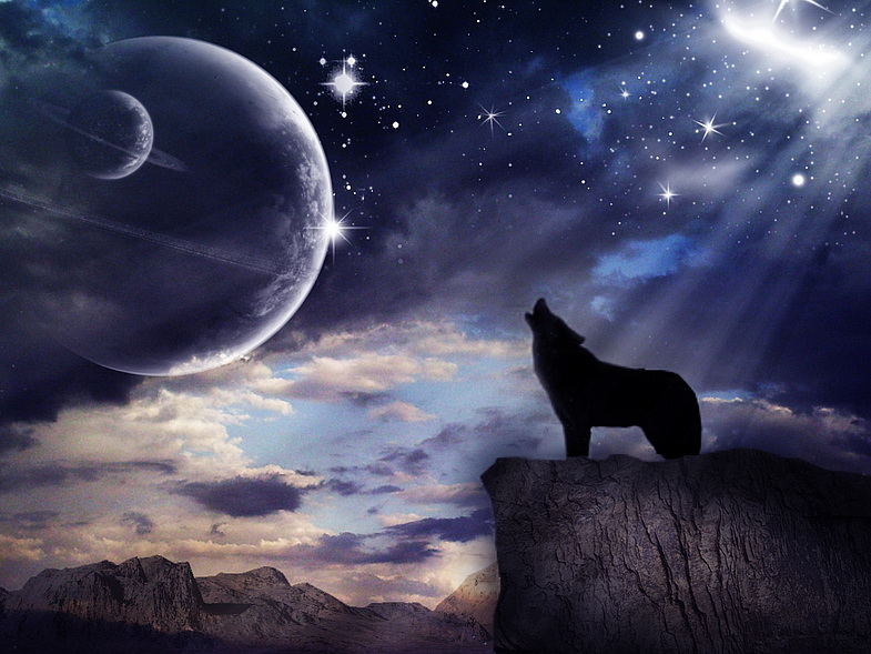 Он или Она? РТ10