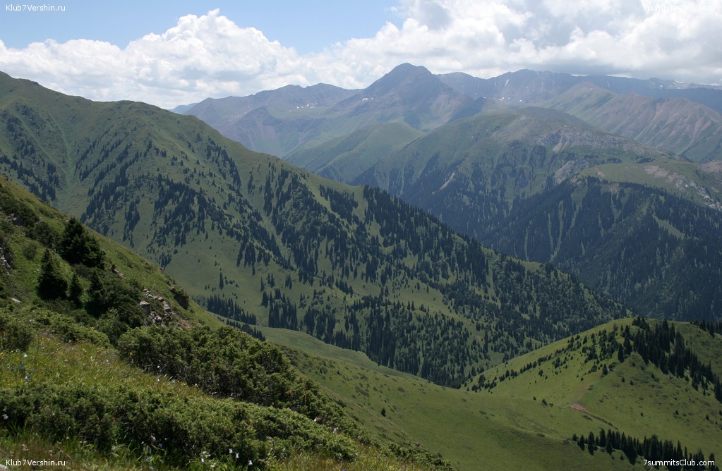 Отгадка в облаках