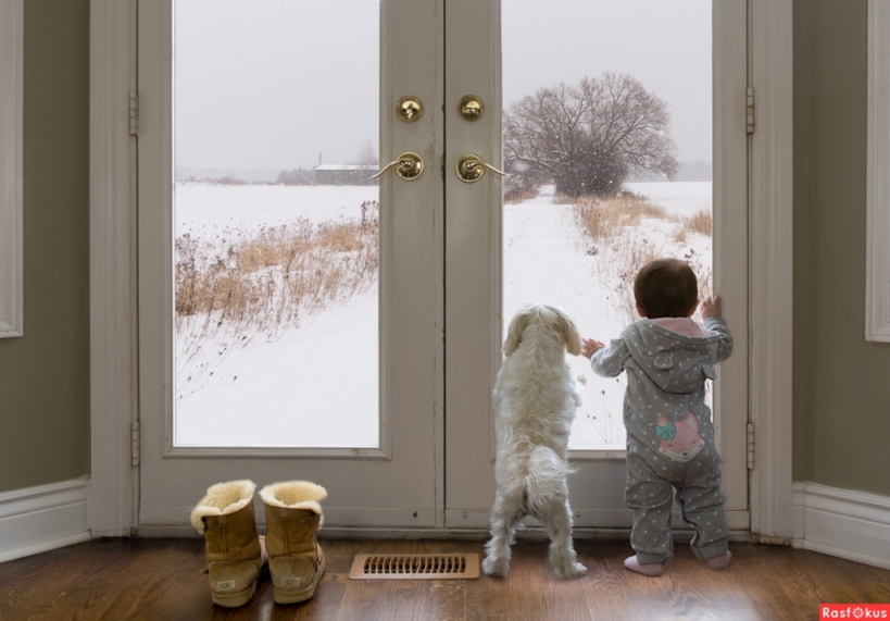 Конкурс пяти строк - За стеклом