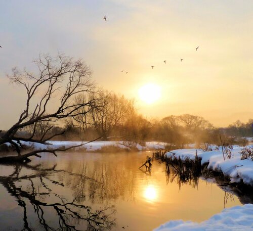 Мартовский снег