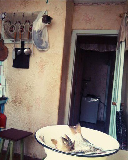 Невозможно удержаться...