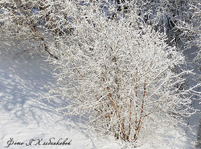 Зима вернулась