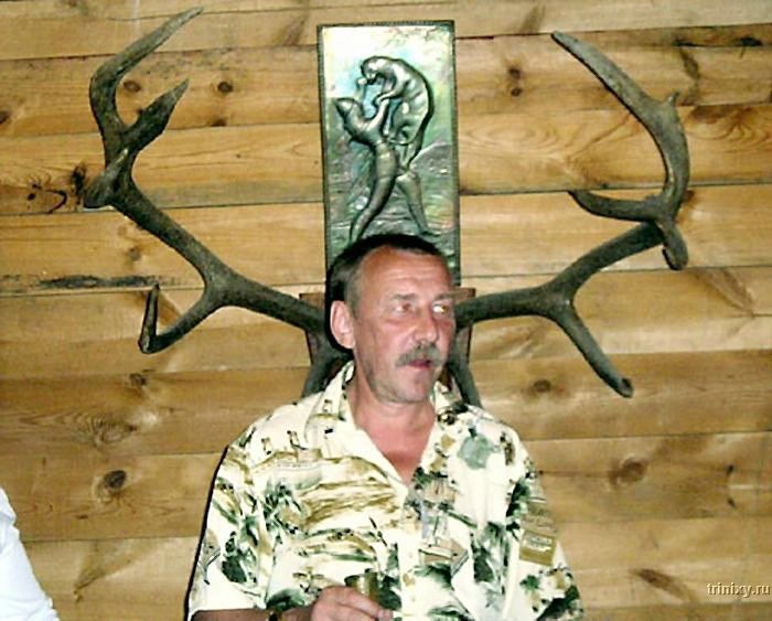 наставинаставить рога. наставить рога. ставить рога. дерево оленьи рога. рога оленя.