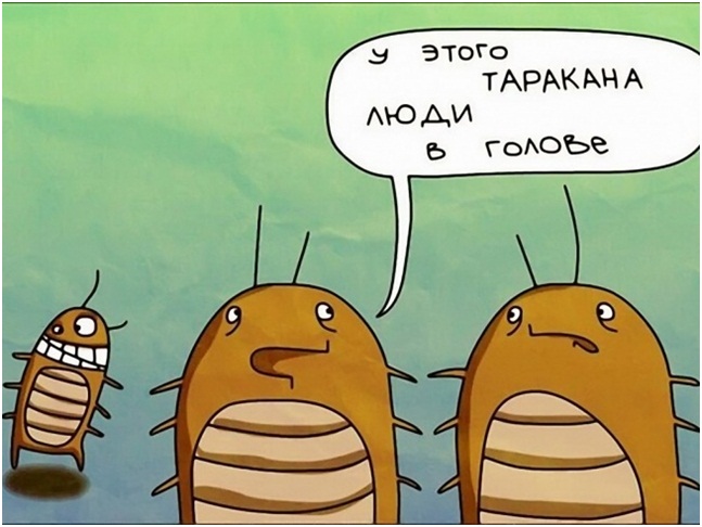 Что брать с собой в больницу рецензия