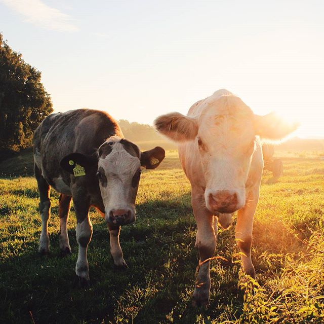 Рубрика на третьей странице
