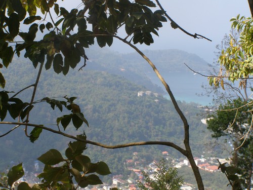 Пою, что вижу