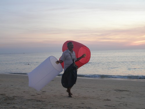 Чудеса тропиков