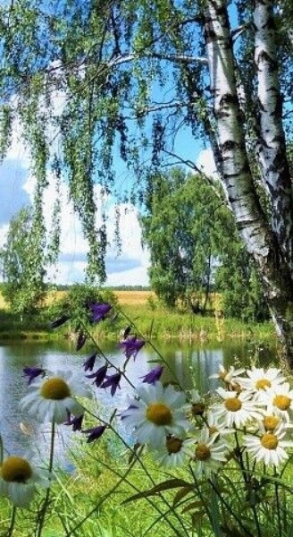 Мне снится лето