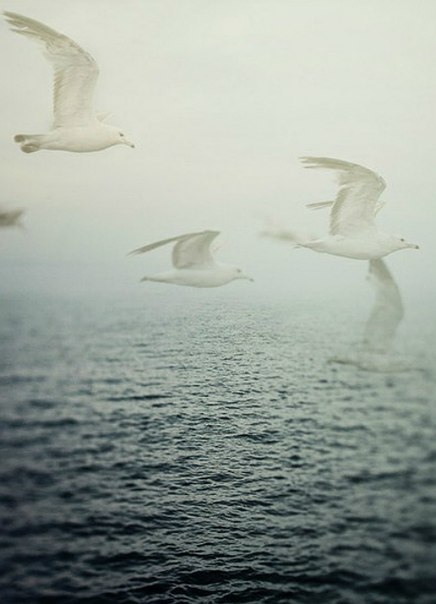 Сегодня я сознала, что умру...