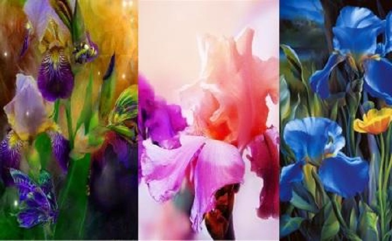 С днём рожденья - Маргарита!