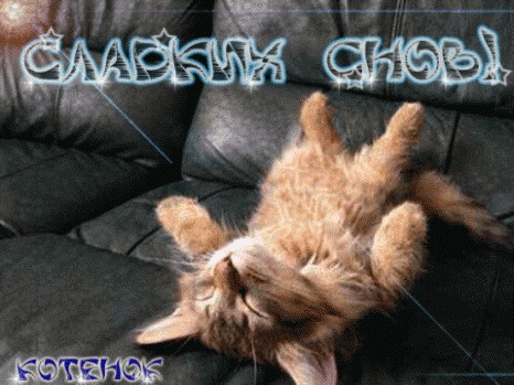 Спи любимая, не думай о плохом