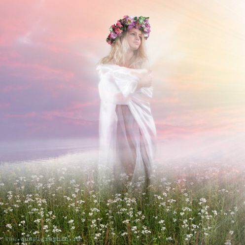 Веселый полет