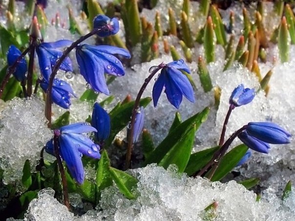 раскроется небо...