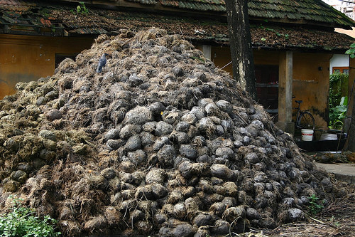 Русь для Европы-навозная куча