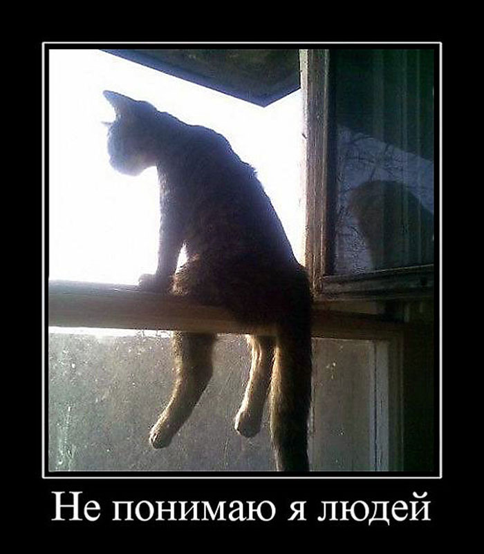Демотиватор гиф