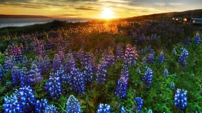 Пришло время в тёмной ночи отдохнуть