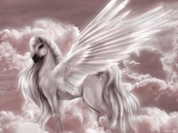 Подруге верной, музе