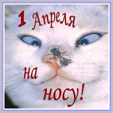 Да не порвётся нить!
