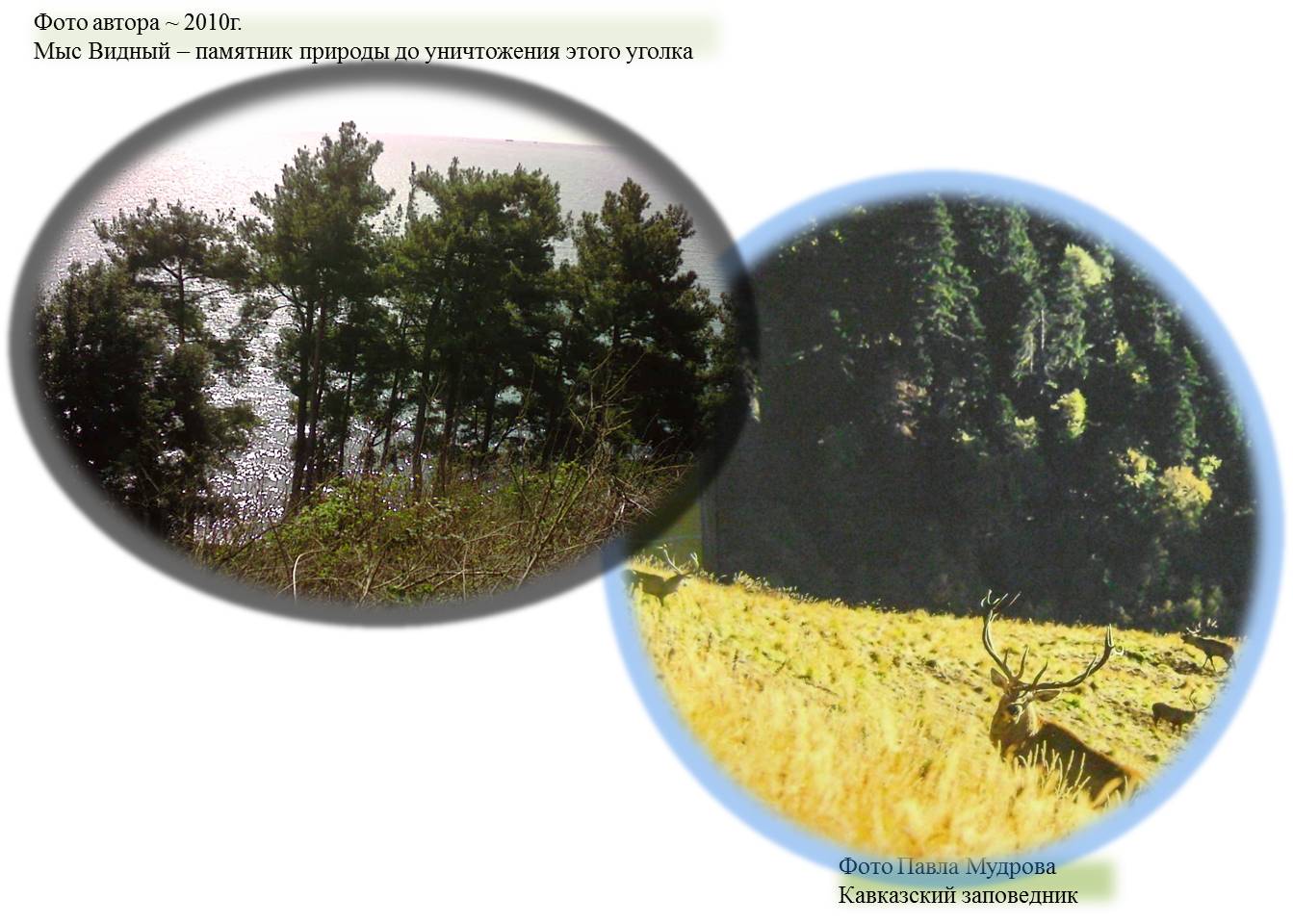 Кто лишний?