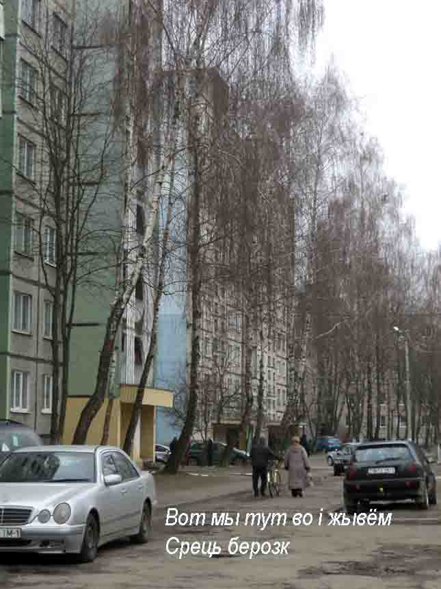 Хто таки Толстый там!