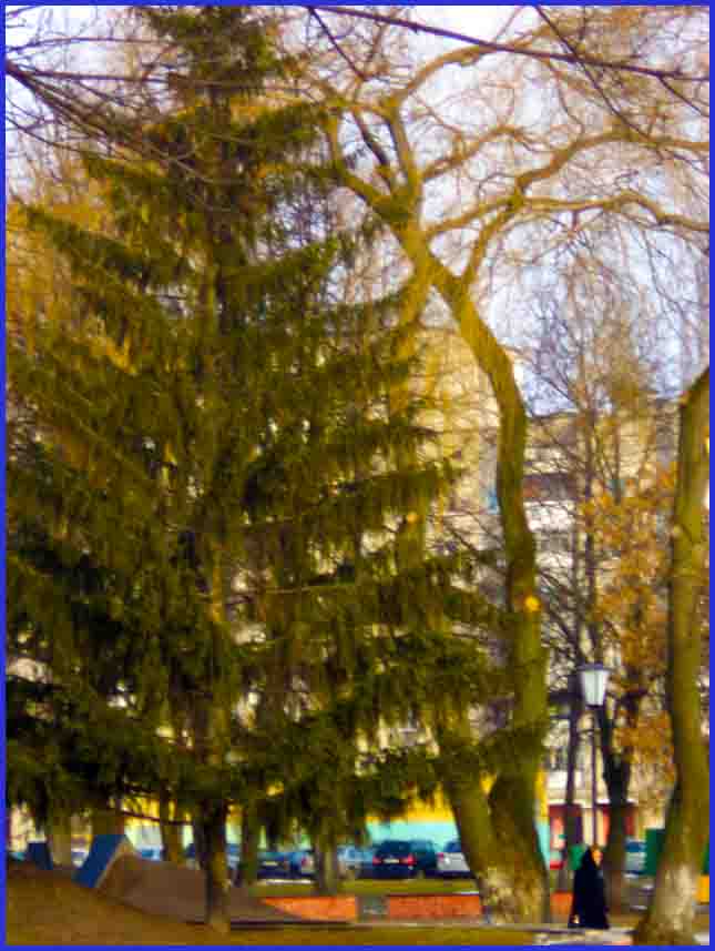 Мы варама Васьцы лымцив!