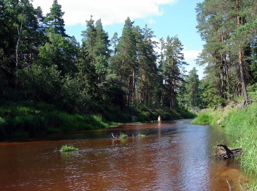 Река пола