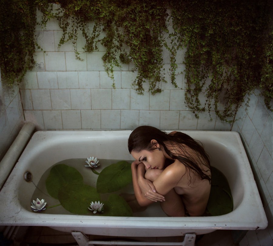 тысячи новых лесов