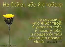 О Иисус, я спешу к Тебе