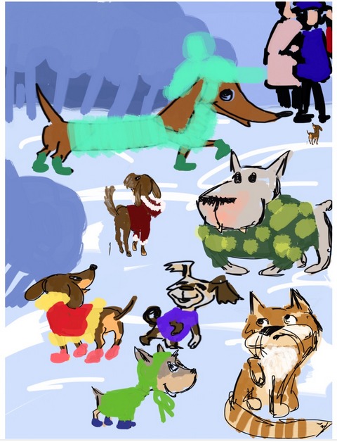 Про обувки и одёжки для собак, кота и кошки