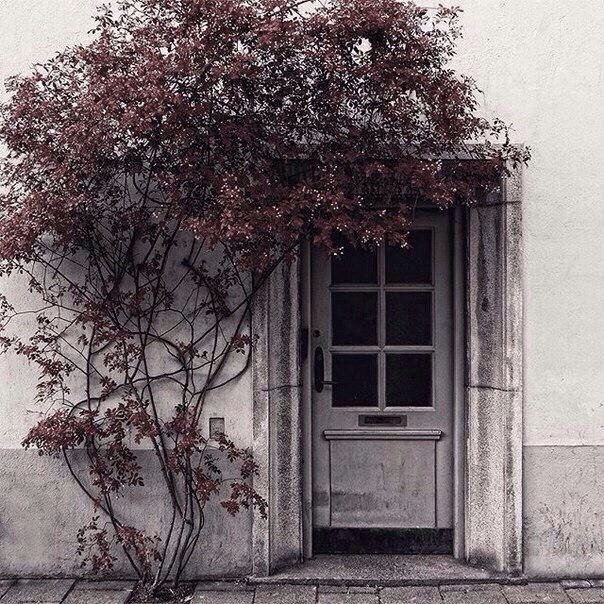 Эти серые, мелкие улицы!