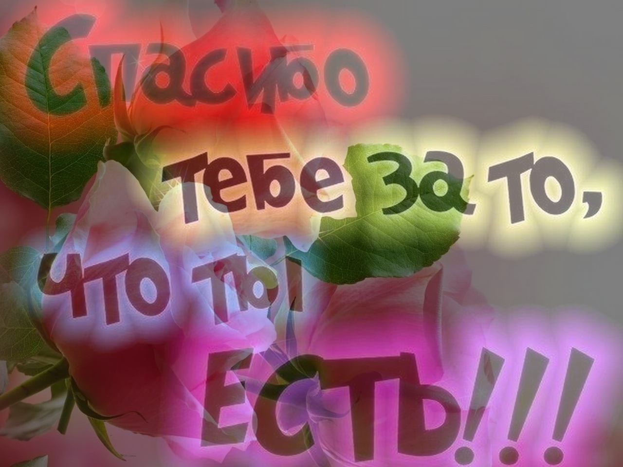 Спасибо что рядом со мной. Спасибо за ТГО что т ыесть. Спасибо за то что ты есть у меня картинки. Спасибо тебе за то что ты есть. Открытка спасибо что ты есть.
