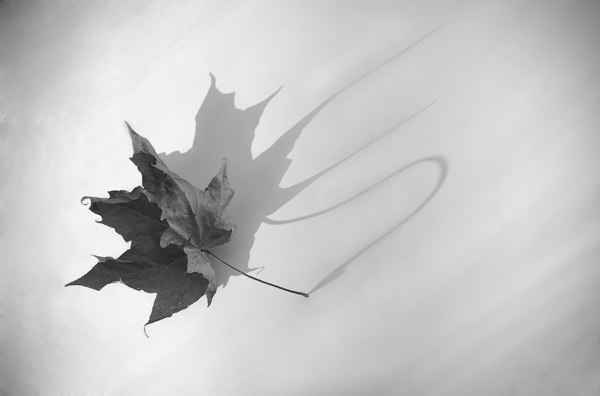 Бог два года молчал и решился...