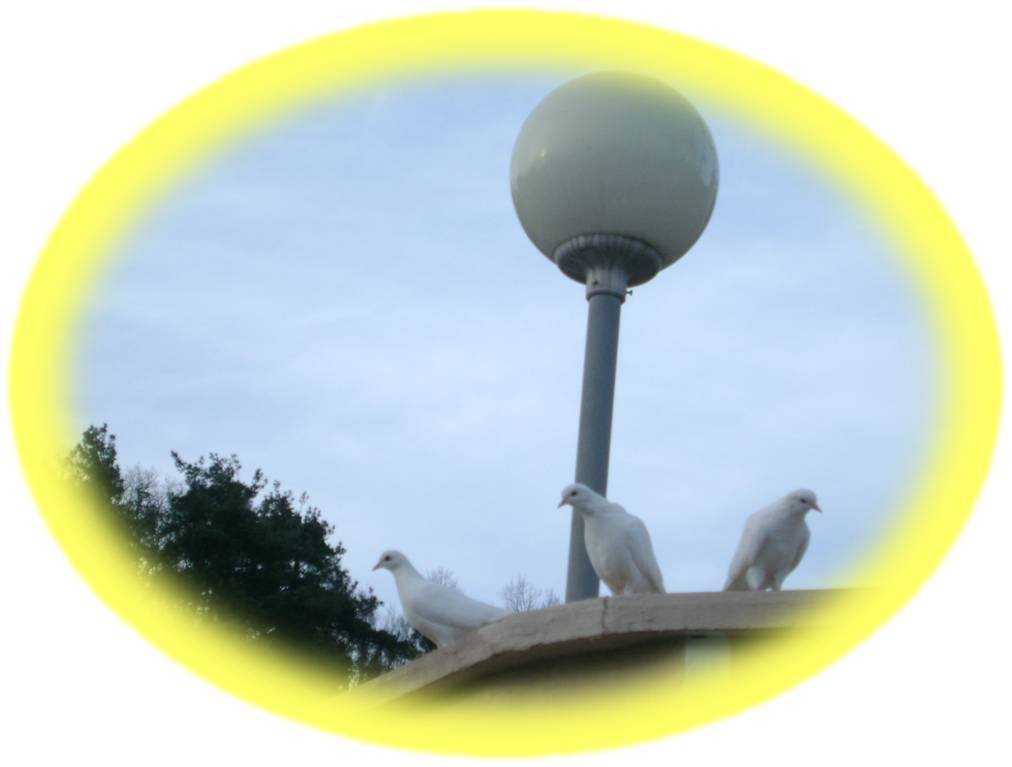 Дорогая молитва беспристрастная!