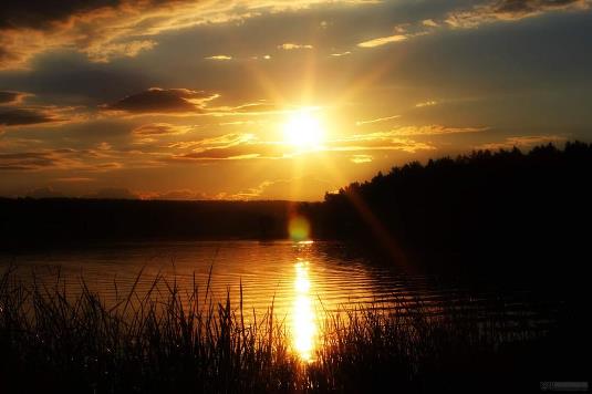 Гори моя звезда