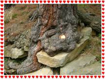 Нерасторжимый союз?