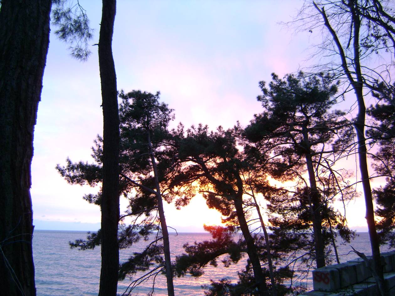 И это любовь...