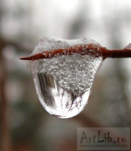 Причуды весны