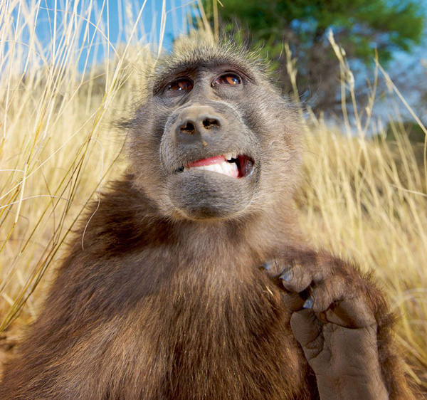 В душе мне рыться не пристало