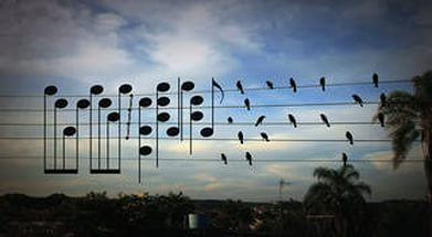 К моим словам подайте ноты