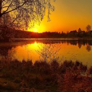 Лишь ночь, набросив...